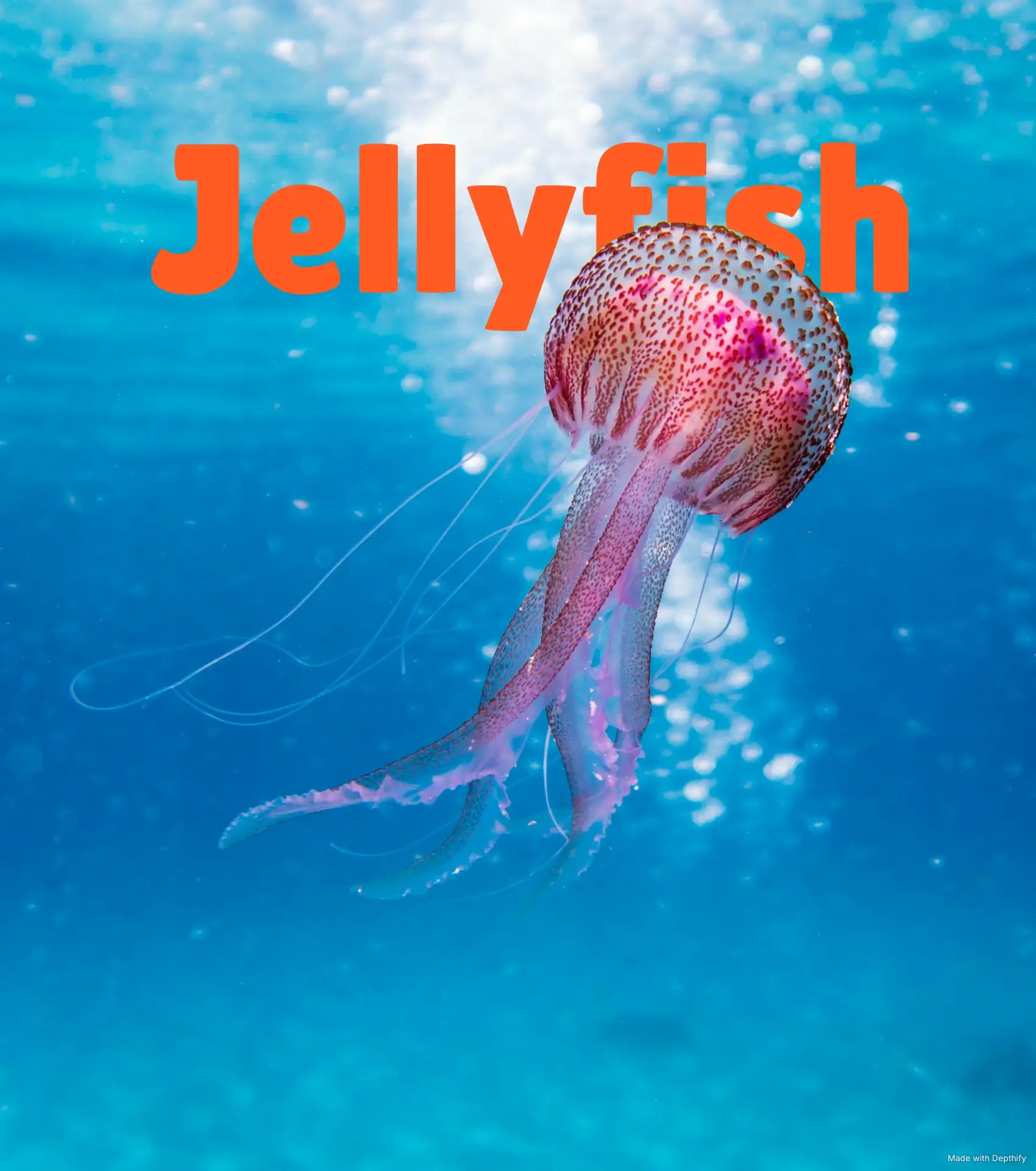 AI Depth Effect - After